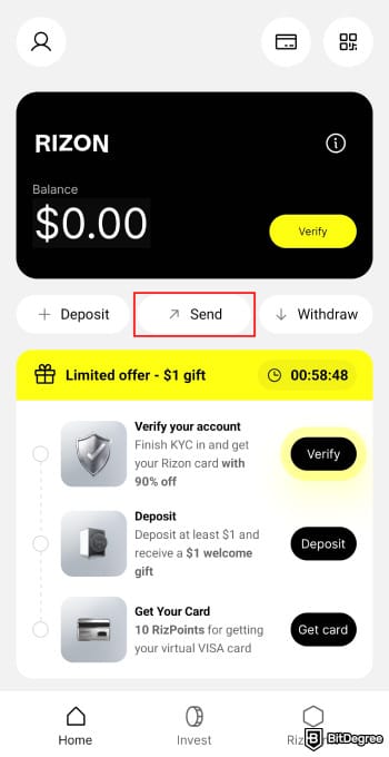 Rizon review: Rizon app homepage highlighting the [Send] button.