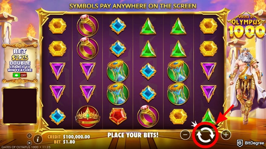 Roobet review: click on the spin button.