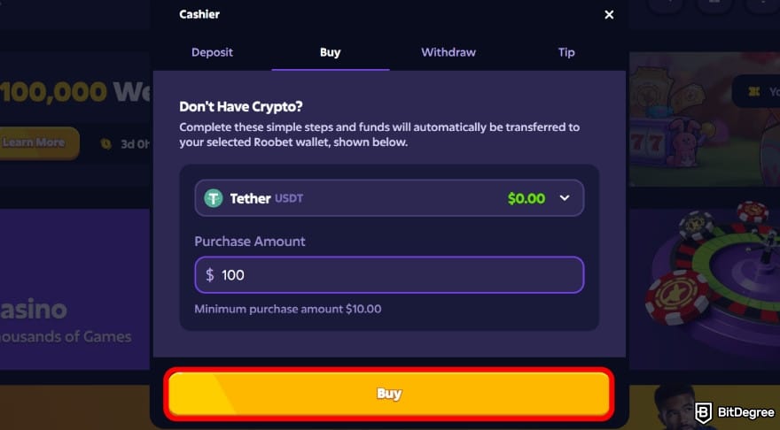 Roobet review: select the coin and input the purchase amount.