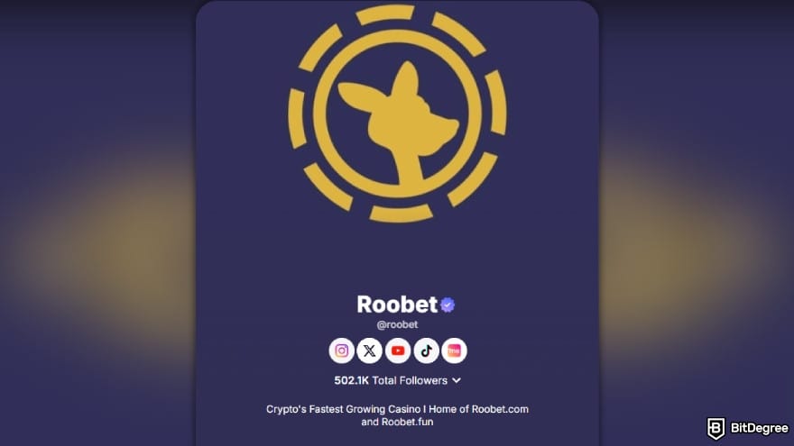 Roobet review: social media reach of Roobet.
