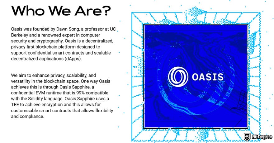 ROSE crypto price prediction: Oasis Network's Who We Are page.