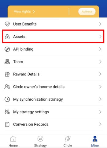 Royal Q review: the [Assets] menu on Royal Q's app.