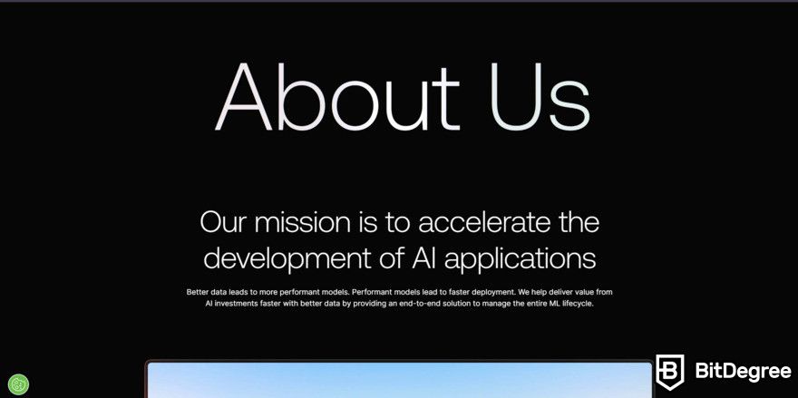 Scale AI review: "about us" page.