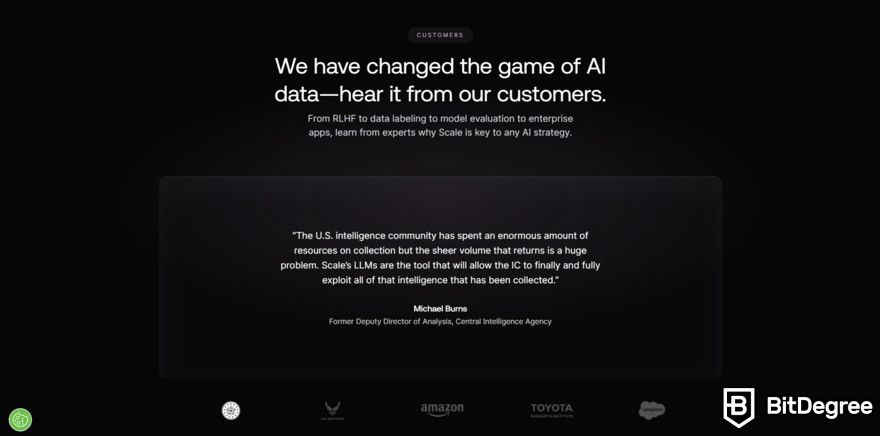 Scale AI review: homepage.