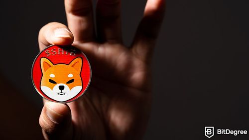 Shiba Inu Devs Introduce "Shibacals:" A Bridge between NFTs and Tangible Assets