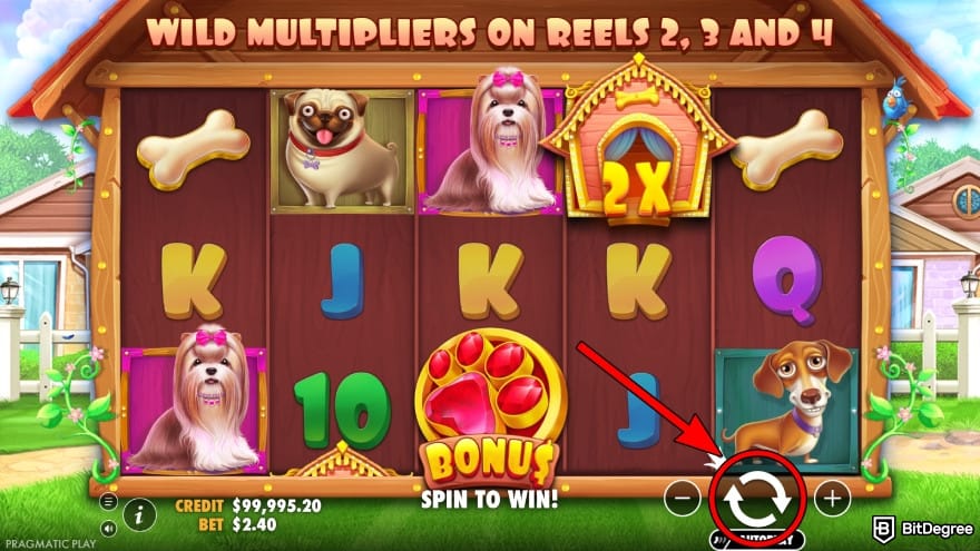 Shuffle casino review: click the spin button.