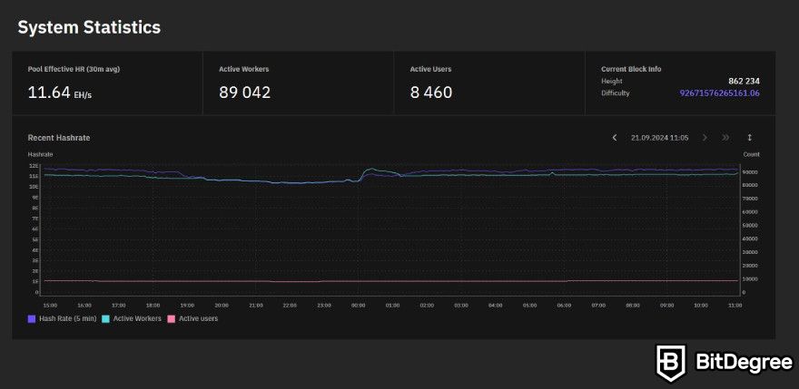 Sush Pool review: system statistics.