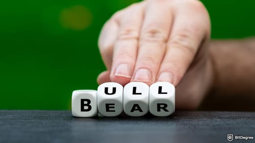 So... is this a bear market?