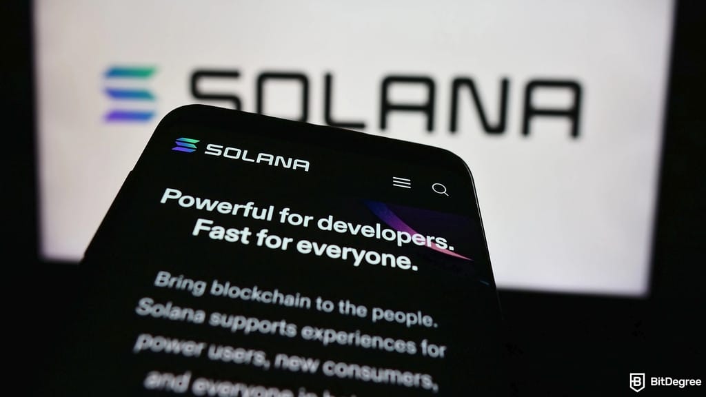 Solana Gains Wall Street's Attention for Stablecoins, Says Bitwise CIO