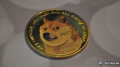 Solana Memecoins Surge After Kabosu Owner Adopts New Pet