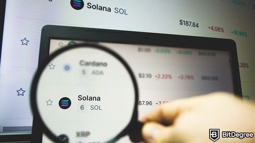 Solana Overtakes Ethereum in Google Search Popularity