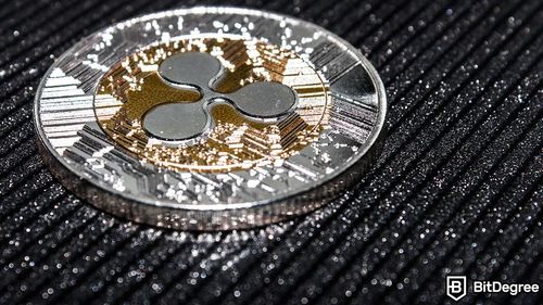 Spike in XRP Transfers Sets Crypto Community Abuzz
