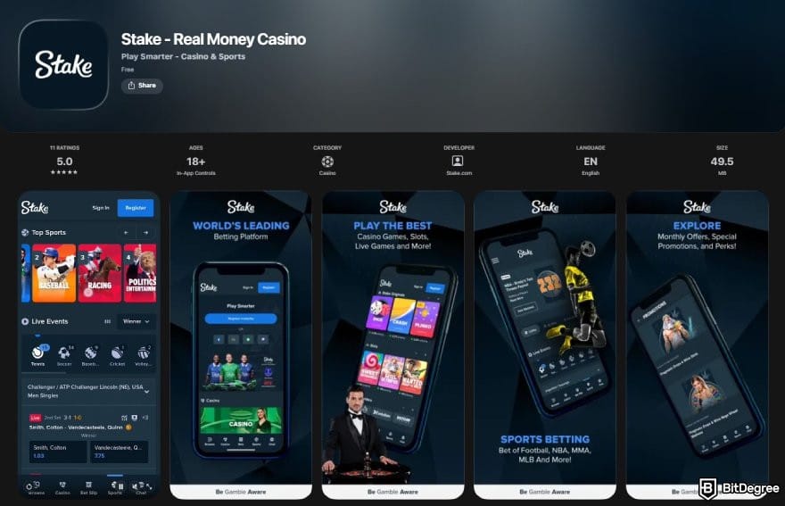 Stake casino review: the Stake app page on Apple's App Store.