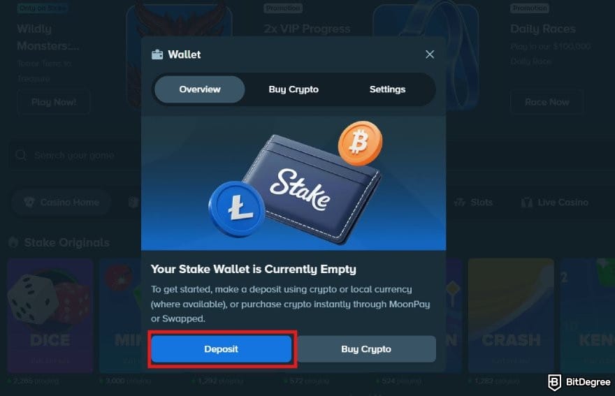 Stake casino review: the deposit option on Stake.com.