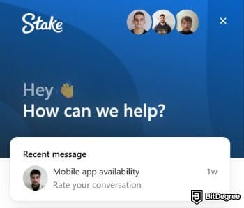 Stake casino review: Stake.com's live chat interface.