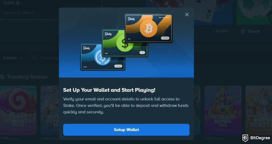 Stake casino review: the set up wallet prompt on Stake.com.
