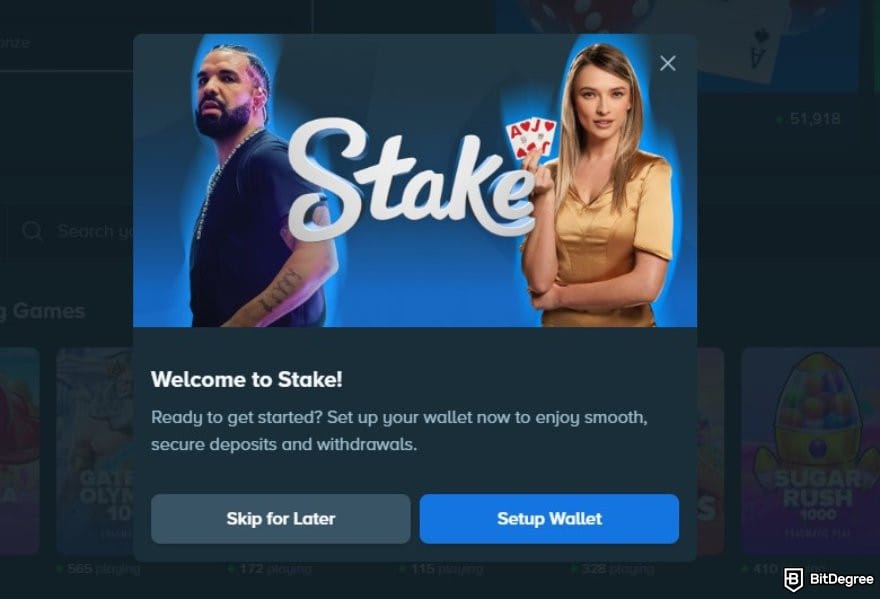 Stake casino review: the set up wallet message on Stake.com.