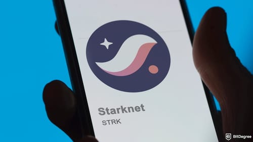Starknet Shuts Down Again, Technical Glitches Threaten Network Reputation