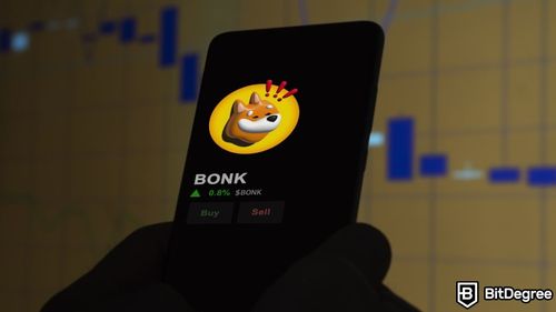 Strategic Alliance in the Works Between BONK and Revolut