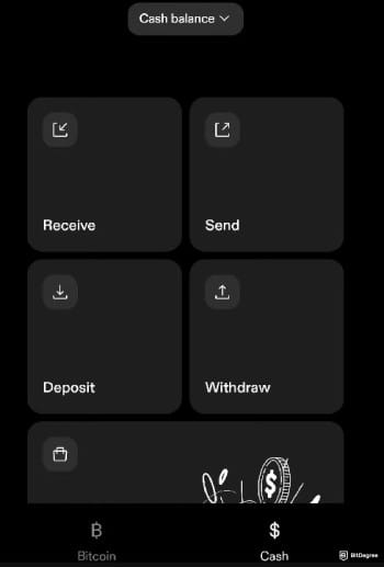 Strike crypto review: Strike's application main window.