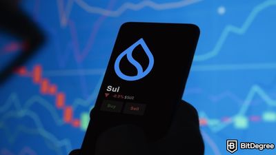 Sui Blockchain: The Future of Decentralized Applications?