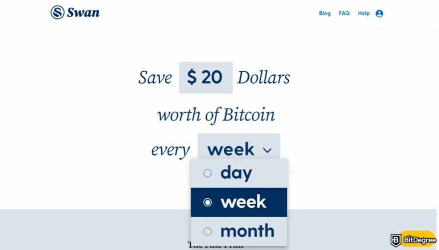 Swan Bitcoin review: purchase amount and frequency.