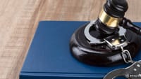 Teen Pleads Guilty to $245 Million Bitcoin Theft, Feds Fear Escape Plan