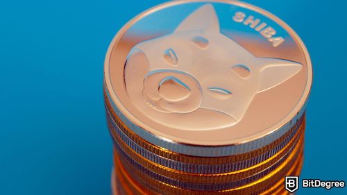 The Team Behind Shiba Inu Launches The Shibarium Mainnet