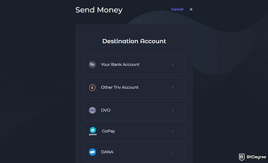 Triv review: the Send Money page on Triv user dashboard.