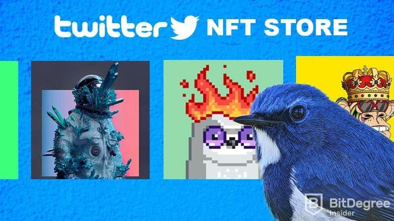 Twitter To Allow Buying/Selling Nfts Through Tweets