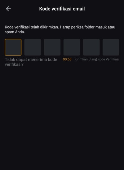 Ulasan Aplikasi Bybit: masukkan kode verifikasi email.