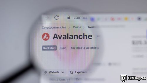 Unexpected Block Production Pause Hits Avalanche Blockchain