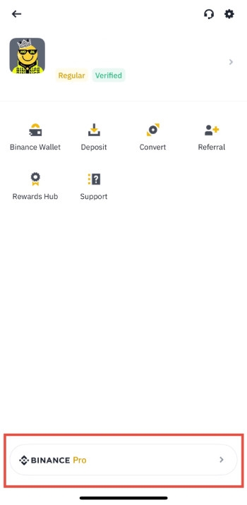 Upcoming Ethereum airdrops: navigate to Binance Pro.