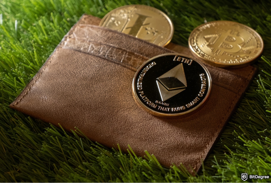 Upcoming Ethereum airdrops: a wallet with crypto coins in it.