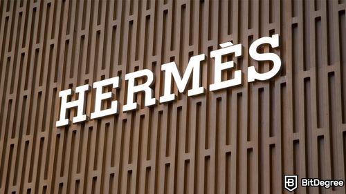 US Court Halts "MetaBirkin" NFT Sales Amid Hermès Trademark Violation Case