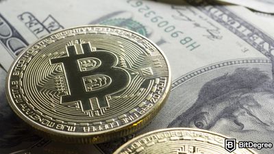 US Government Moves $240 Million in Bitcoin to Coinbase