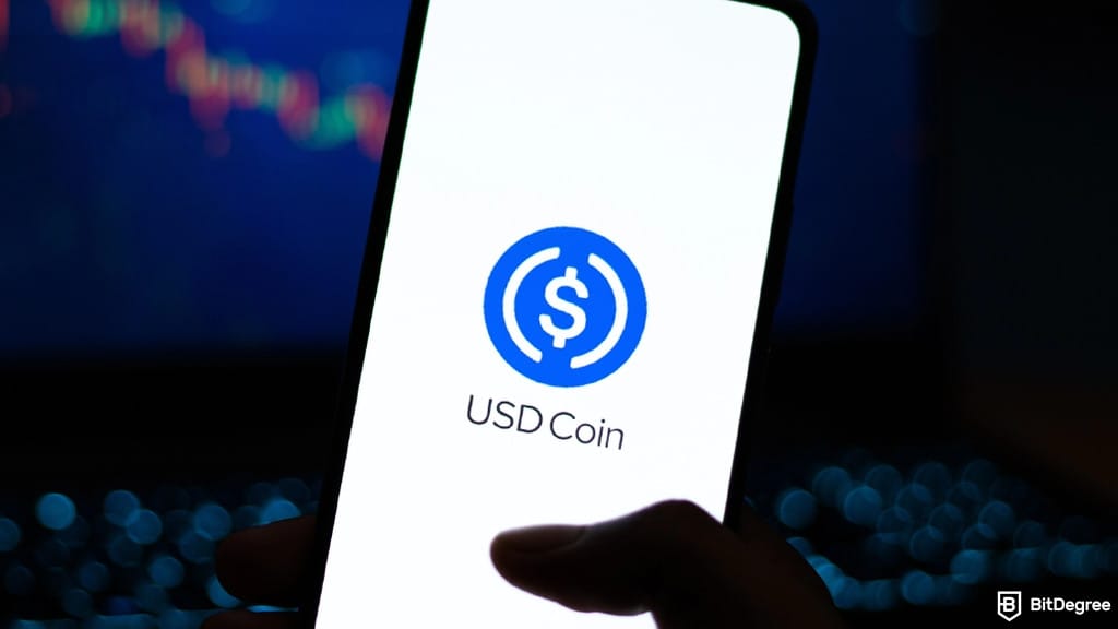 USDC Issuer Circle to Launch Ethereum-Compatible Arc Blockchain