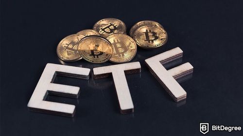 Valkyrie's Bitcoin ETF Awaits SEC Verdict as Review Process Begins