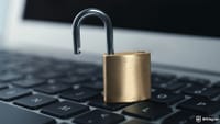 Venus Protocol Halts Activity After User Falls for $13.5 Million Crypto Scam