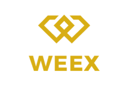 WEEX Review WEEX Review