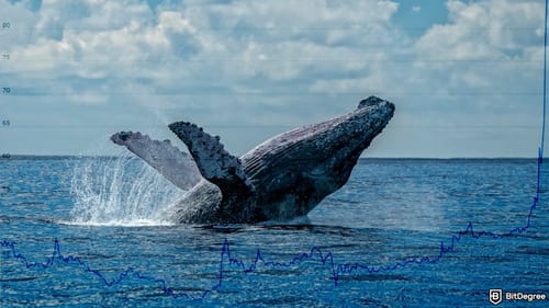 Whales are slowing down... should you worry?