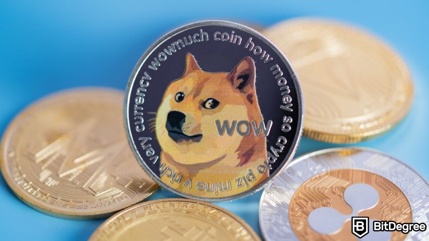 What is a meme coin: the legendary DOGE.