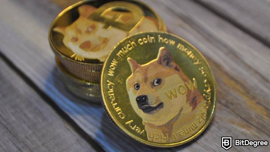 What is a meme coin: the "much wow" Dogecoin.