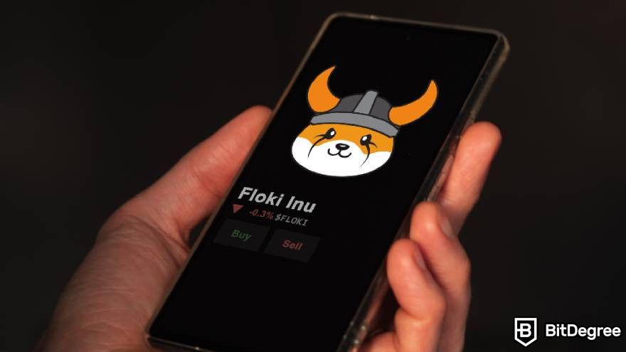 What is a meme coin: the Floki Inu token on a phone.