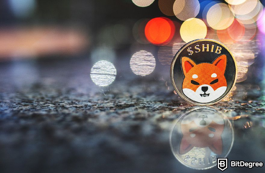 What is meme coin: the Shiba Inu token.