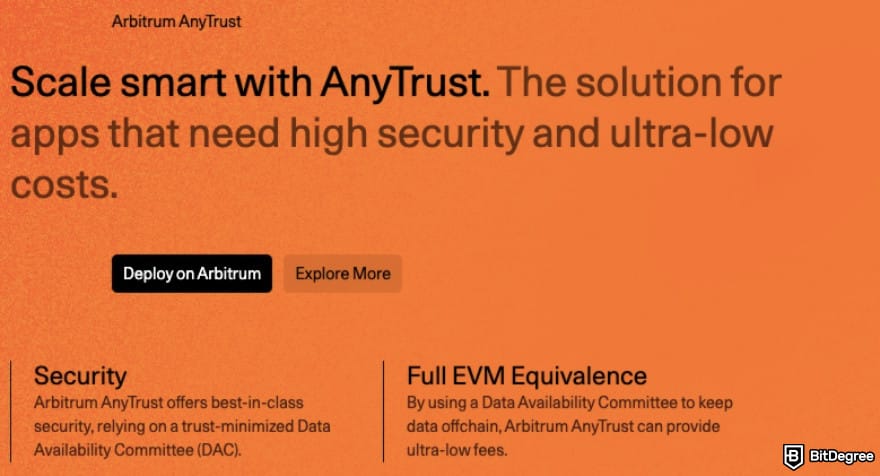 What is Arbitrum: Arbitrum AnyTrust.