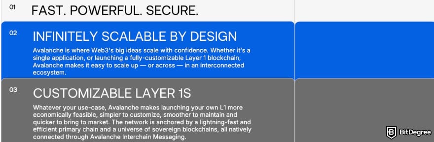 What is Arbitrum: Avalanche displaying its features.