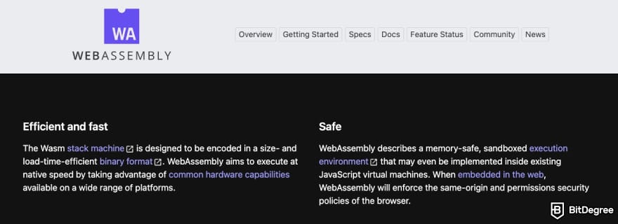 What is Arbitrum: WebAssembly displaying its benefits.