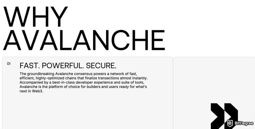 What is Base crypto: Avalanche homepage.
