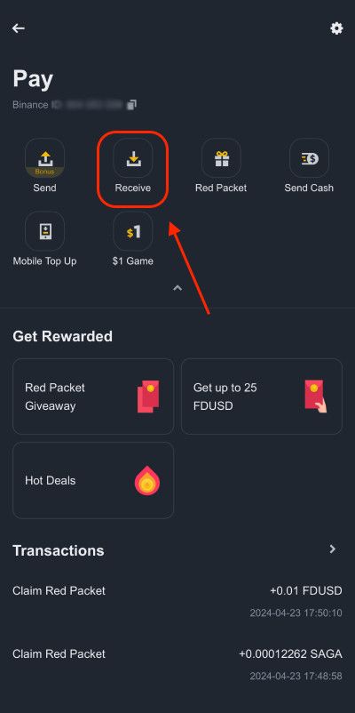 What is Binance Pay: the [Receive] button.
